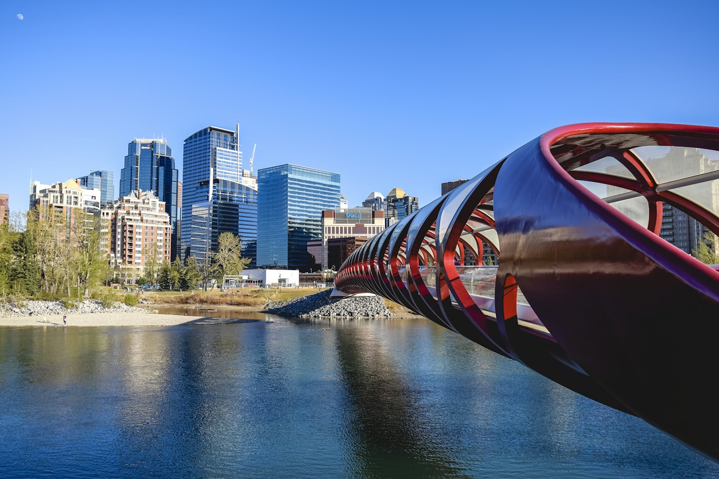 Peace Bridge and downtown Calgary